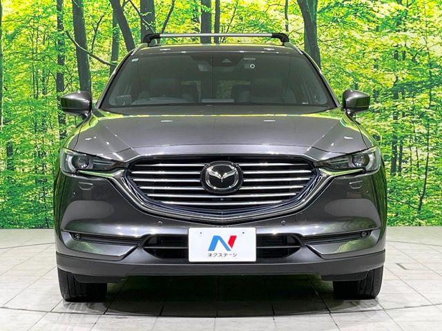 CX-8（新潟県長岡市）画像15