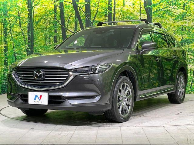 CX-8（新潟県長岡市）画像25