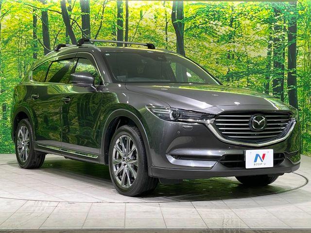 CX-8（新潟県長岡市）画像26