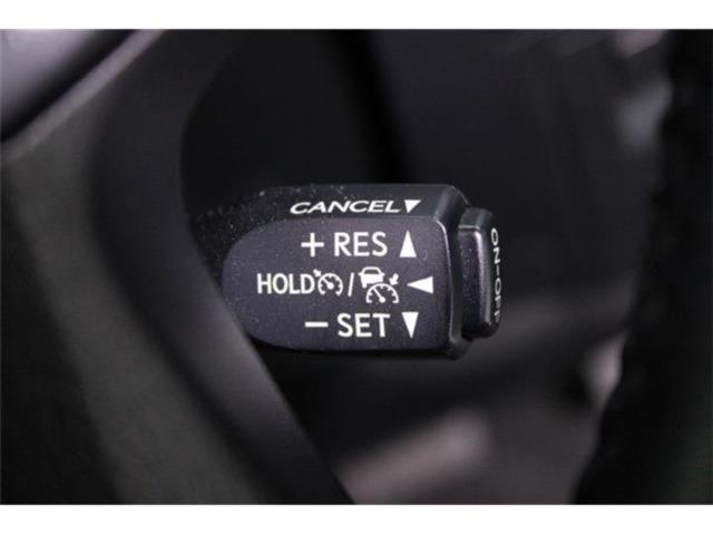 アルファード(新潟県新潟市東区)