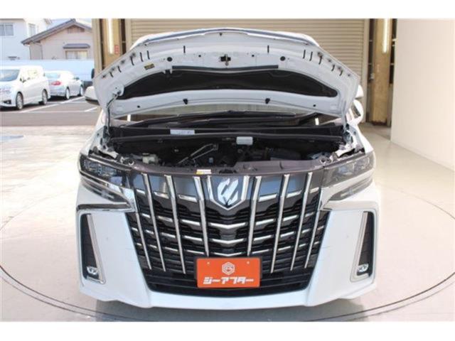 アルファード(新潟県新潟市東区)