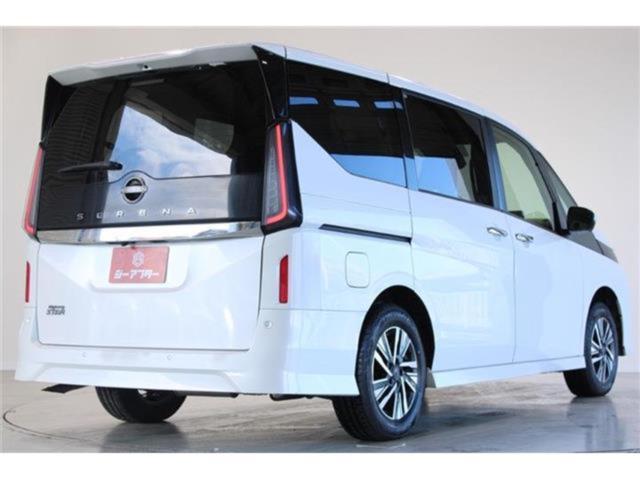 セレナ(新潟県新潟市東区)