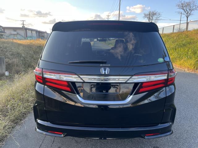 オデッセイ(新潟県新潟市東区)