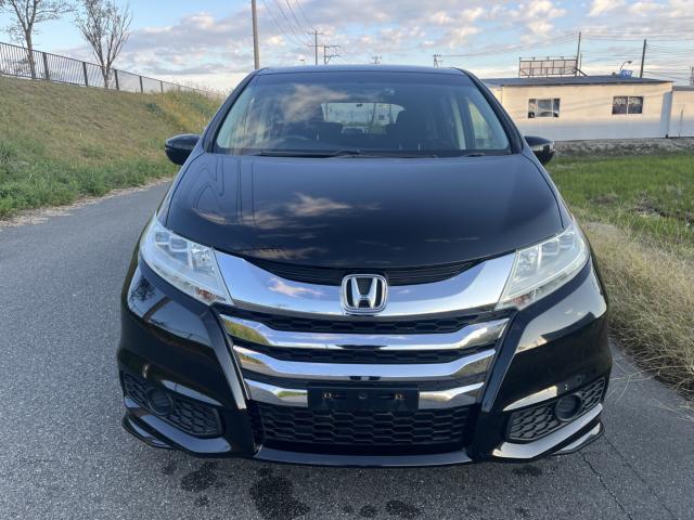 オデッセイ(新潟県新潟市東区)