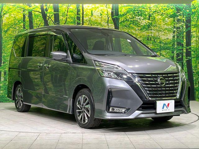 セレナ(新潟県長岡市)