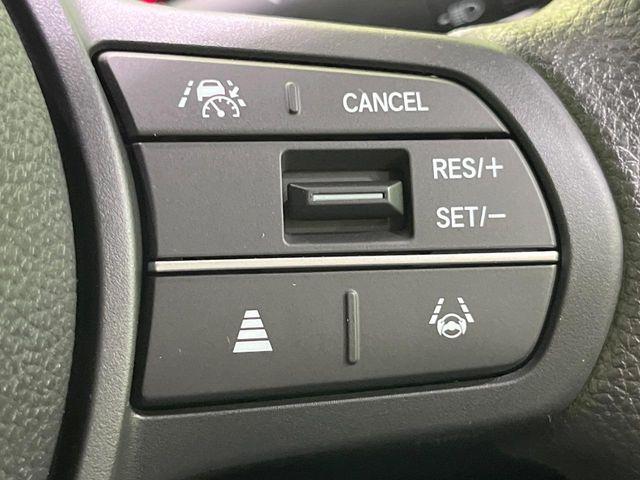 フリード（新潟県長岡市）