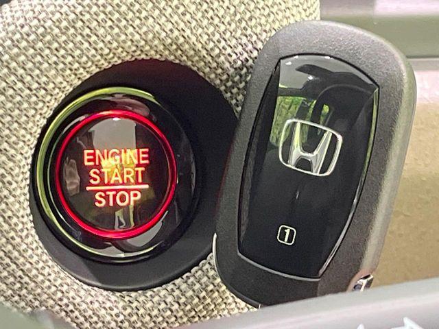 フリード（新潟県長岡市）