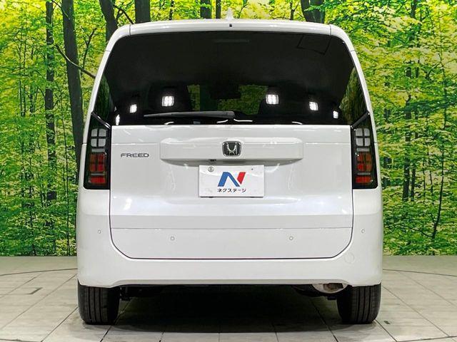 フリード（新潟県長岡市）