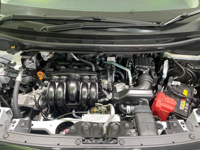 フリード（新潟県長岡市）