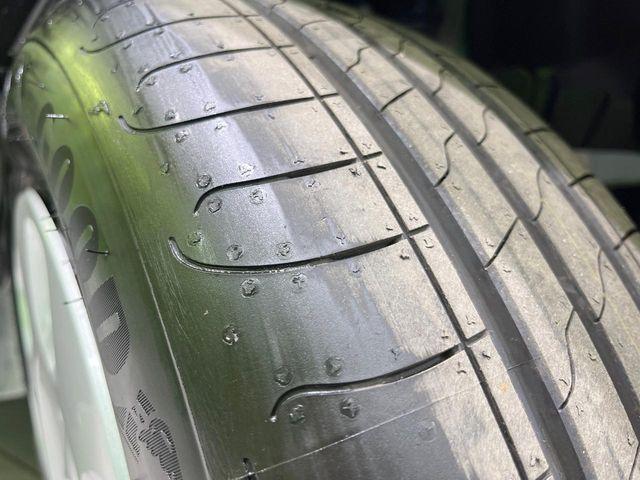 フリード（新潟県長岡市）