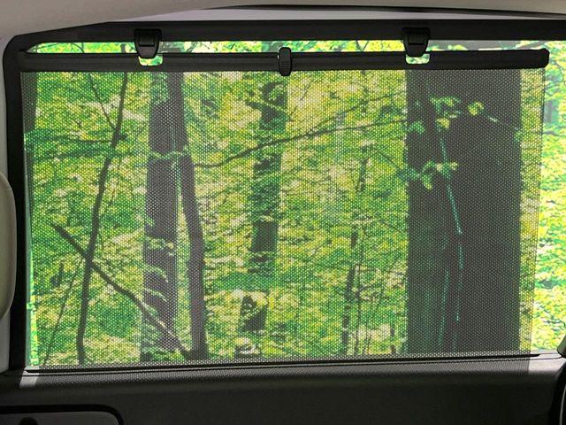 フリード（新潟県長岡市）