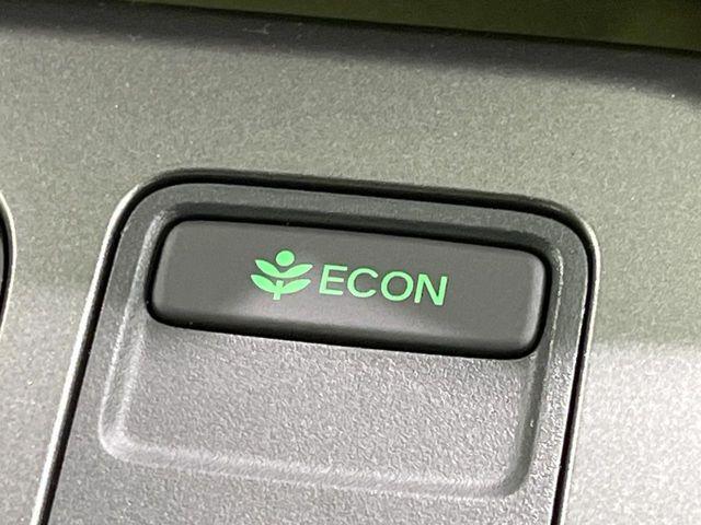 フリード（新潟県長岡市）