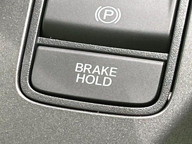 フリード（新潟県長岡市）