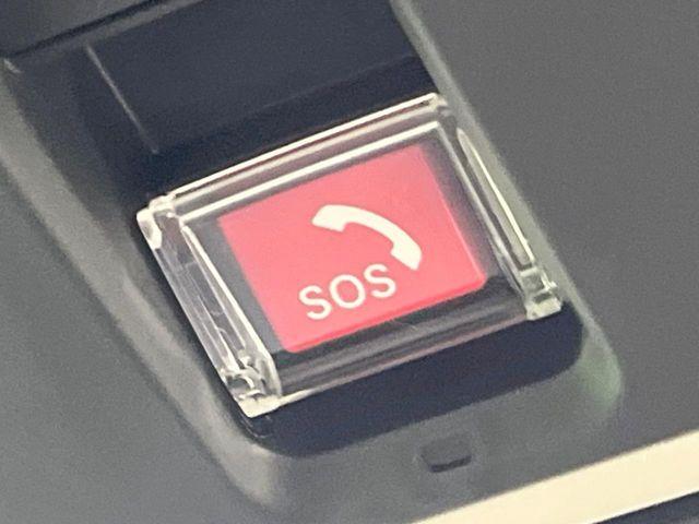 フリード（新潟県長岡市）