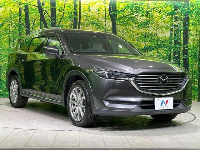 CX-8（新潟県長岡市）画像17