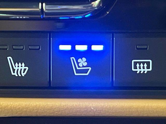 CX-60(新潟県新潟市東区)