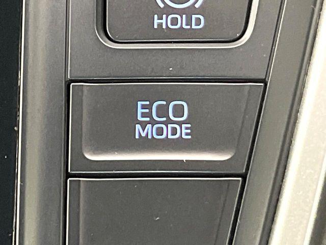 ノア(新潟県新潟市東区)