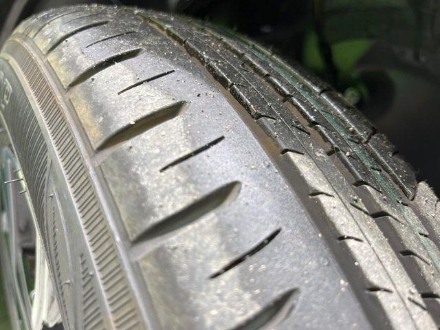 タント(新潟県長岡市)