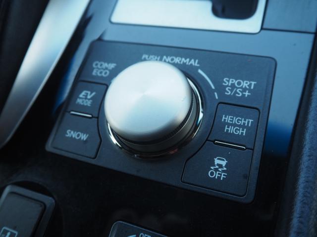 レクサスＬＳ（新潟県新潟市西区）