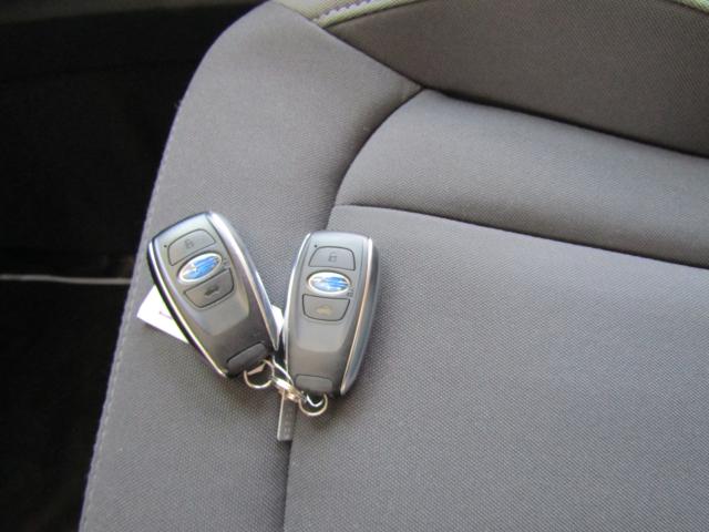 インプレッサ(新潟県糸魚川市)