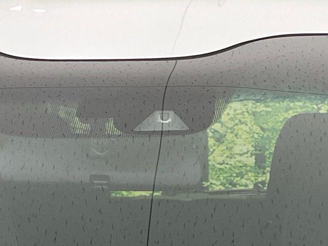 フリードハイブリッド（新潟県長岡市）画像22