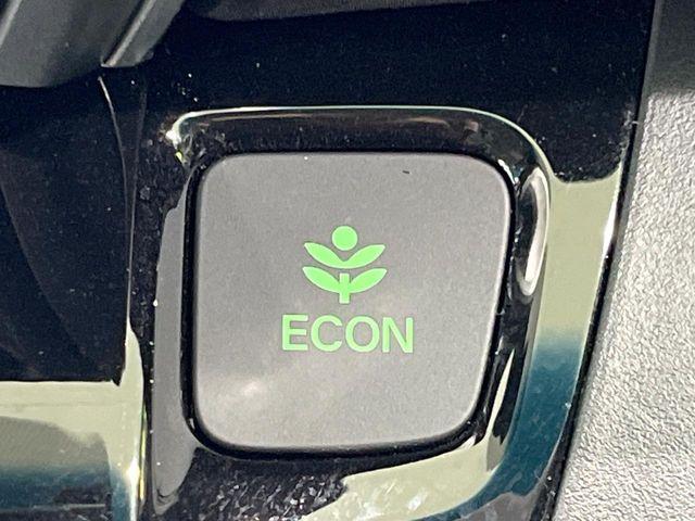 フリードハイブリッド（新潟県長岡市）画像50