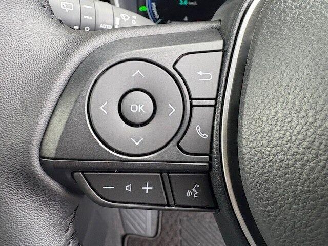 カローラクロス（新潟県柏崎市）画像14