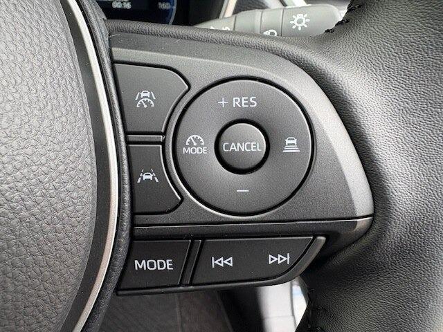 カローラクロス（新潟県柏崎市）画像15