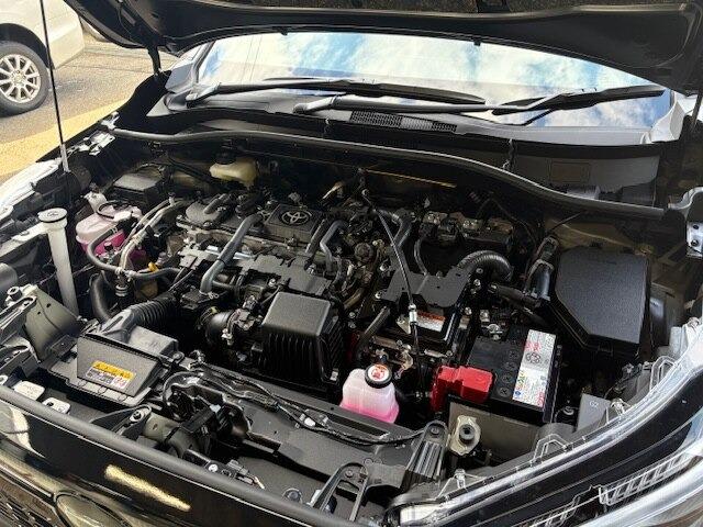 カローラクロス（新潟県柏崎市）画像47