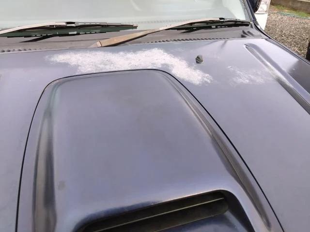 ジムニー（新潟県新潟市東区）画像7