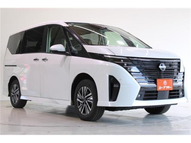 セレナ（新潟県新潟市東区）画像8