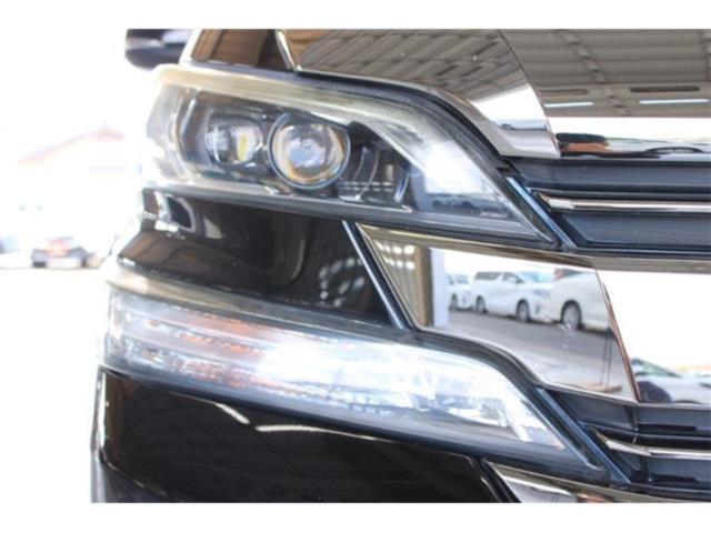 ヴェルファイア（新潟県新潟市東区）画像18