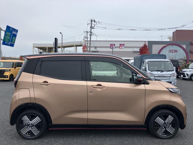 サクラ（新潟県新潟市西区）画像38