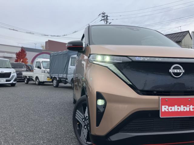 サクラ（新潟県新潟市西区）画像35