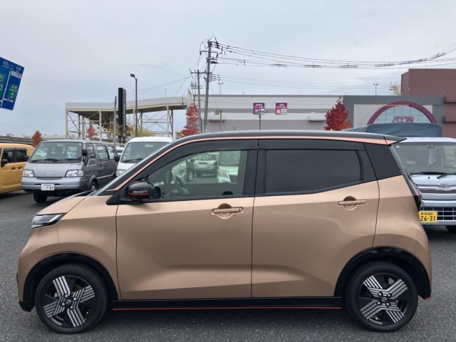 サクラ（新潟県新潟市西区）画像37