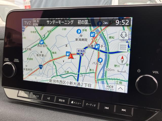 サクラ（新潟県新潟市西区）画像5