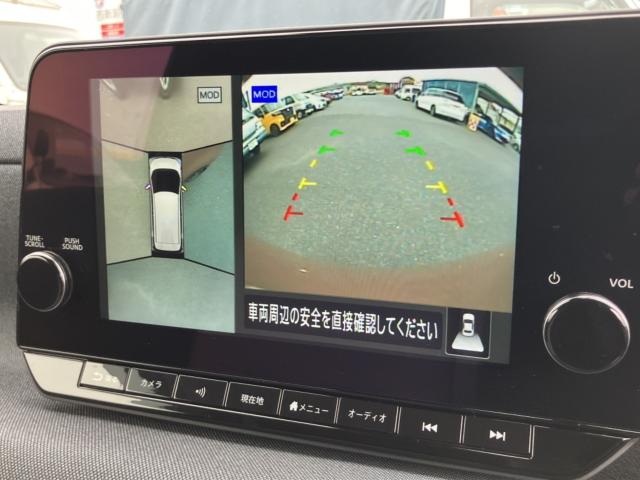 サクラ（新潟県新潟市西区）画像7