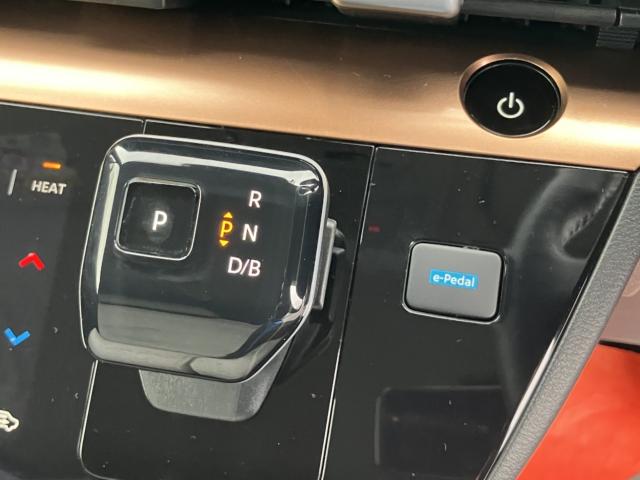 サクラ（新潟県新潟市西区）画像9