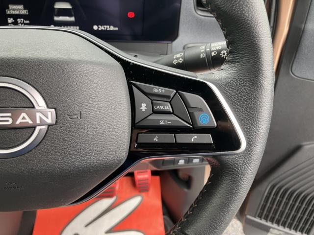 サクラ（新潟県新潟市西区）画像15