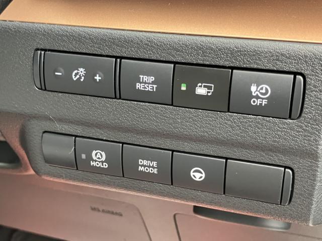 サクラ（新潟県新潟市西区）画像19