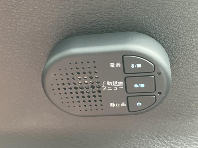 サクラ（新潟県新潟市西区）画像20