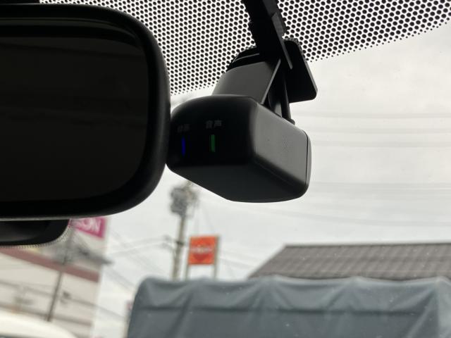 サクラ（新潟県新潟市西区）画像22