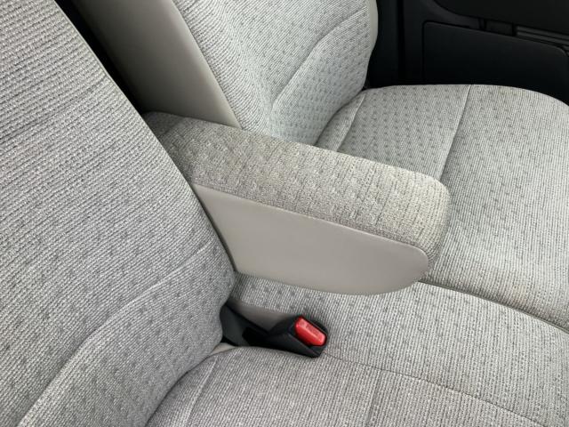 サクラ（新潟県新潟市西区）画像30