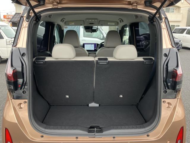 サクラ（新潟県新潟市西区）画像41