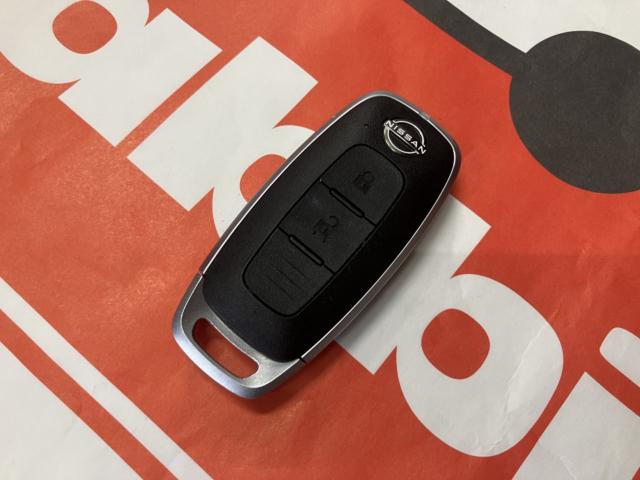 サクラ（新潟県新潟市西区）画像23