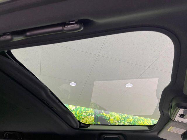 タフト（新潟県長岡市）画像3