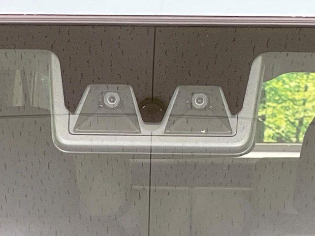 タフト（新潟県長岡市）画像4