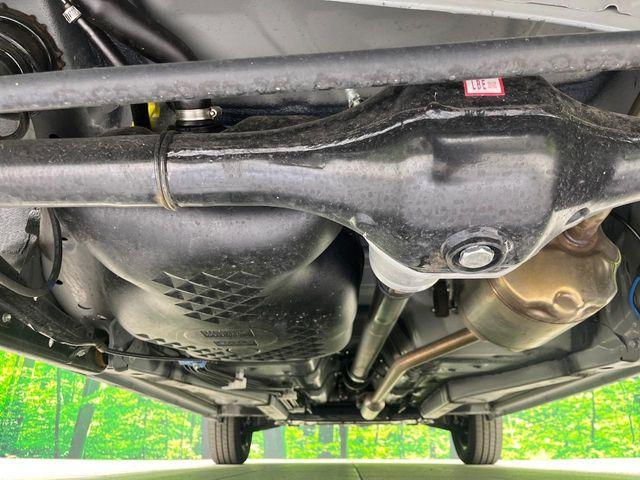 タフト（新潟県長岡市）画像20