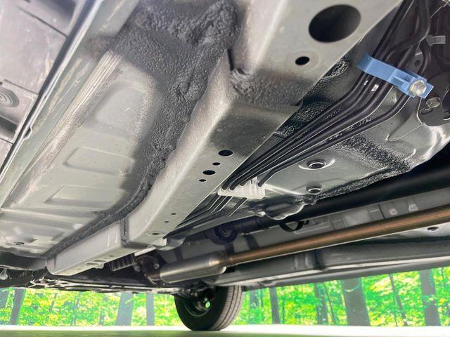 タフト（新潟県長岡市）画像29