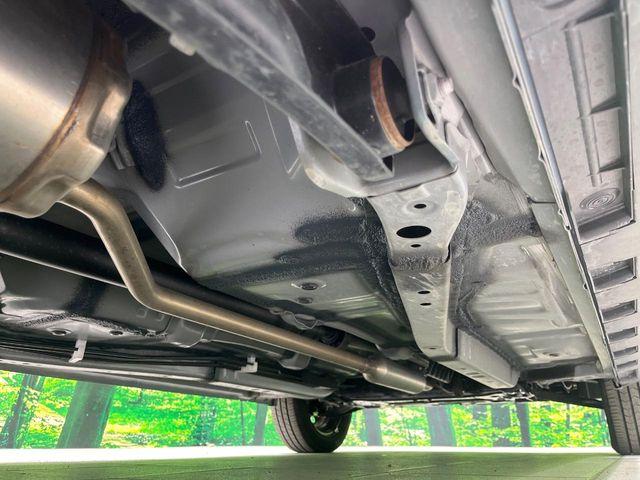 タフト（新潟県長岡市）画像31